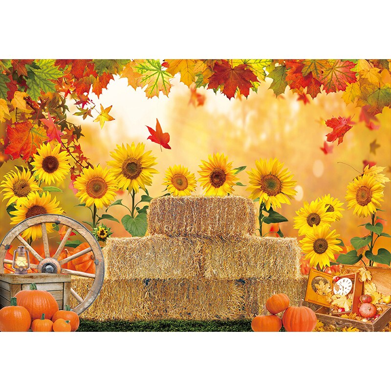 Allenjoy sunflower Photography Backdrop Newborn Child fence Smash cake Baby Shower summer background Photo studio photobooth - YM3P-A4330 / Econ Vinyl 40x60CM